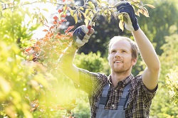 Excellent Gardening Company in KT1