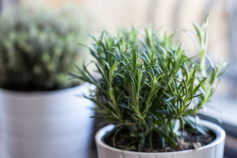 garden property