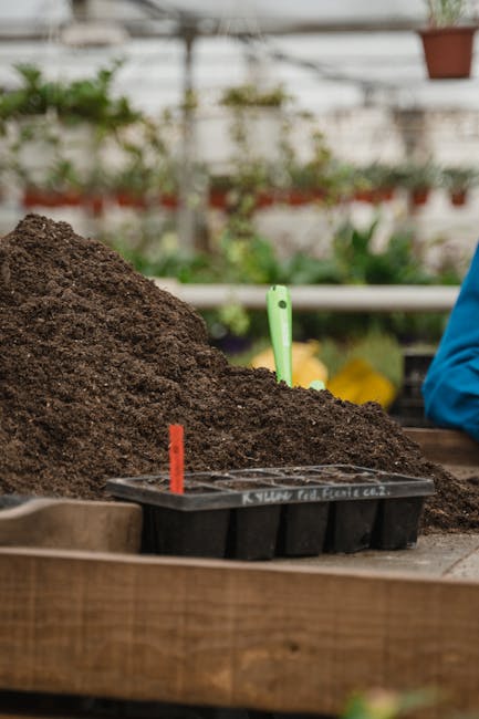 Close-up of a garden workspace showcasing freshly turned dark brown soil with a slightly moist, crumbly texture, situated in raised wooden garden beds. In the background, there are blurred green plants and foliage, indicating a greenhouse or conservatory environment with a transparent roof allowing natural light to illuminate the scene. A small black seed tray with red and green plant labels is positioned atop the soil, suggesting ongoing planting activity. The image also features a partial view of a person wearing a bright blue work jacket, emphasizing active garden maintenance. This setting exemplifies typical garden preparation and planting work carried out by professionals such as Gardeners Kingston, highlighting the importance of soil readiness and organized planting in effective garden care and landscaping.