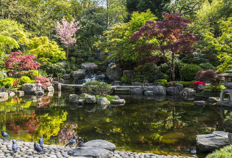 landscape design Garden