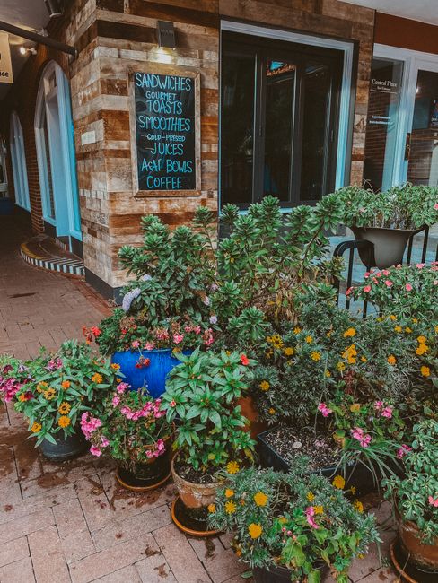 An outdoor urban garden scene in front of a shop with a brick facade. The garden is filled with a variety of potted plants and flowers, including pink, yellow, and purple blooms, as well as rich green foliage. The pots are of different sizes and materials, some terracotta and others ceramic, arranged on the paved sidewalk. A lush, leafy shrub with large green leaves and a few purple flowers dominates the center, with additional flowering plants around it. Behind the garden, there is a black metal outdoor table and chairs set, partially obscured by the plants. To the left, an entrance to the shop with a blue door is visible, along with a chalkboard sign next to the window advertising menu items like sandwiches, smoothies, and coffee. The overall scene illustrates a well-maintained, inviting sidewalk garden designed to enhance the shop's exterior, with a mix of textures from the wet soil, glossy leaves, and vibrant flower petals, reflecting professional gardening and outdoor maintenance by Gardeners Kingston.